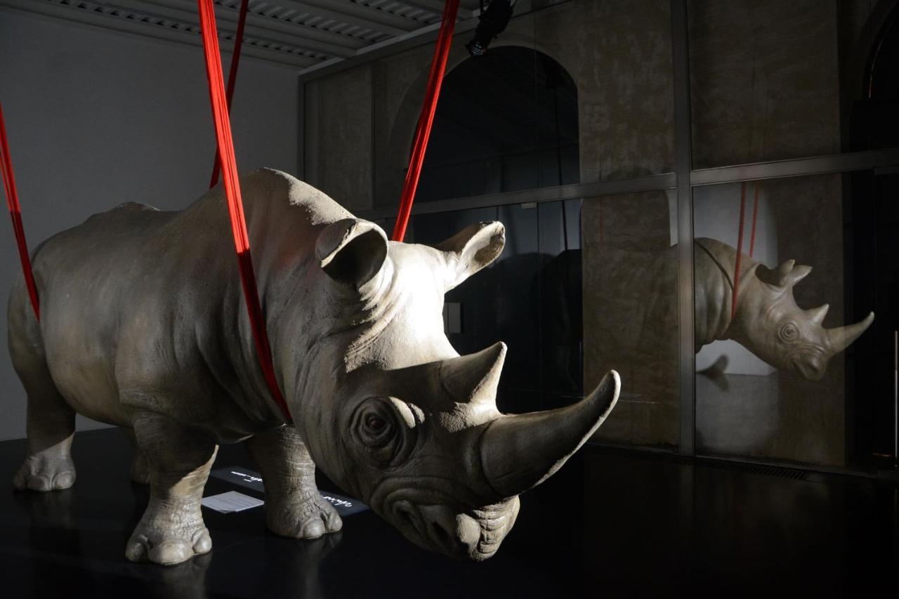 Rhinoceros Aparthotel Róma Kültér fotó